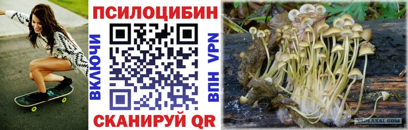 Псилоцибиновые грибы мицелий Болгар